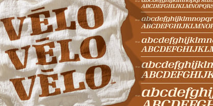 Velo Serif Display Font Poster 6
