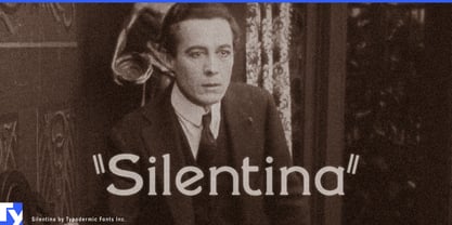 Silentina Fuente Póster 1