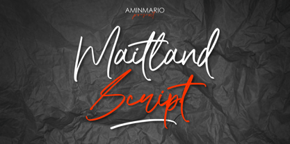 Maitland Script Font Poster 1