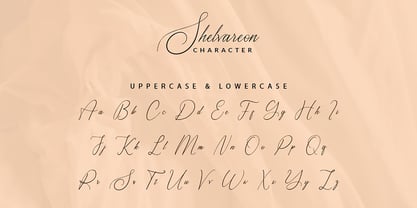 Shelvareon Font Poster 8