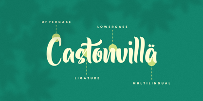 Castonvilla Font Poster 9