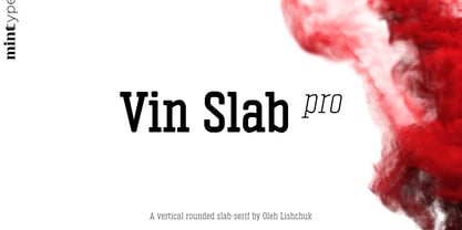 Vin Slab Pro Font Poster 1