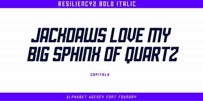 Resiliency2 Font Poster 4