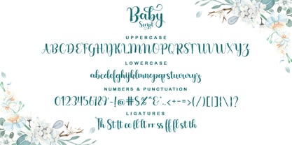 Baby Script Font Poster 8