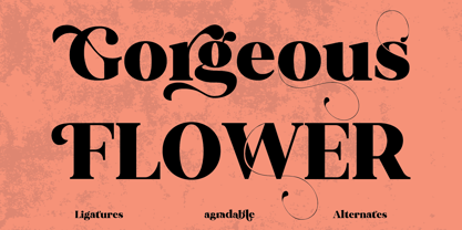 Agradable Font Poster 10
