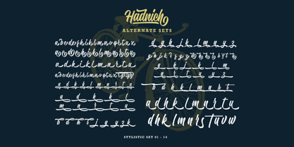 Hadnich Font Poster 15