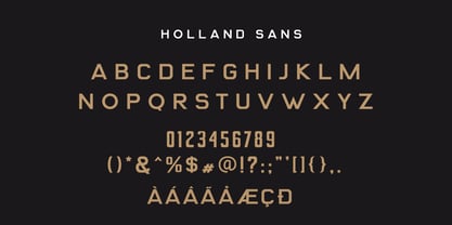 Holland Signature Font Poster 8