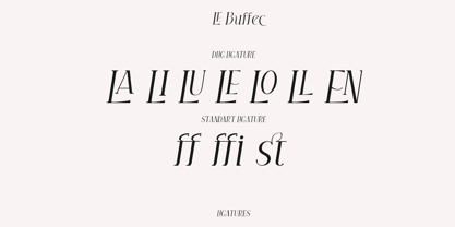 LE Buffec Font Poster 13