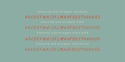 Blessing and Struggle Font Poster 9
