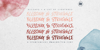 Blessing and Struggle Font Poster 1
