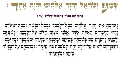 Hebrew Rose Pro Font Poster 2