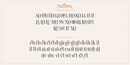 Mailton Font Poster 13
