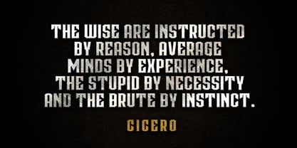 Cicero Series Font Poster 5