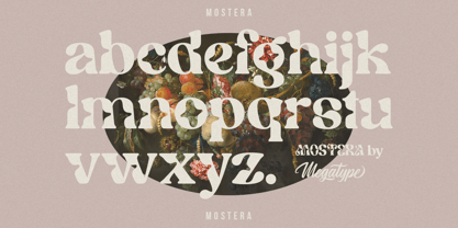 Mostera Font Poster 10