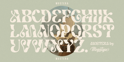 Mostera Font Poster 9