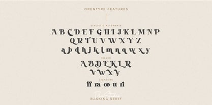 Basking Font Poster 9