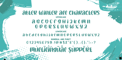 After Winter Font Poster 6