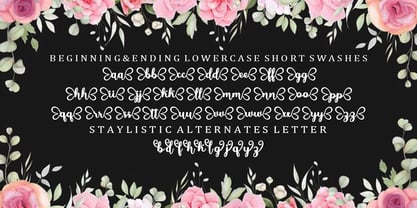 Butterfly Script Font Poster 6