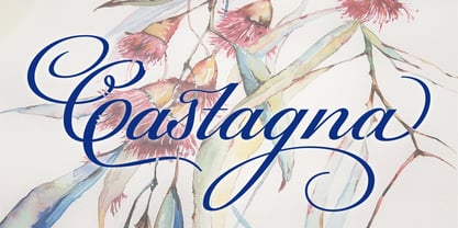 Castagna Font Poster 1