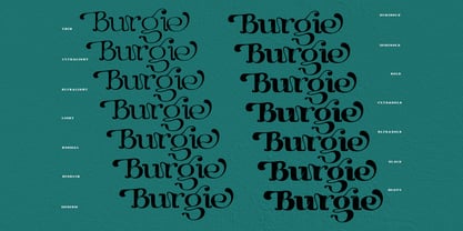 Burgie Font Poster 3