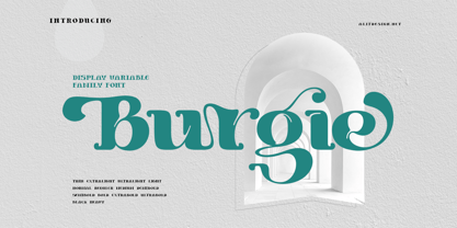 Burgie Fuente Póster 1