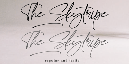 The Skytripe Font Poster 8