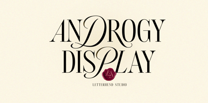 Androgy Font Poster 1