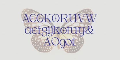 Armeston Display Font Poster 8