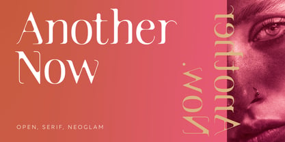 Anothernow Font Poster 1