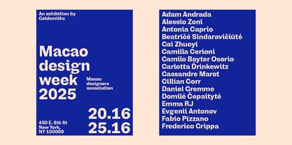 Saes Grotesk Font Poster 3