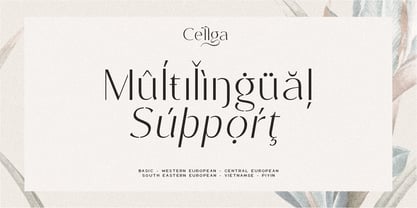 Cellga Font Poster 8