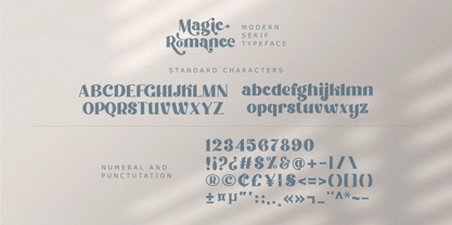 Romance magique Police Poster 11