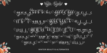 Winter Beautys Font Poster 7