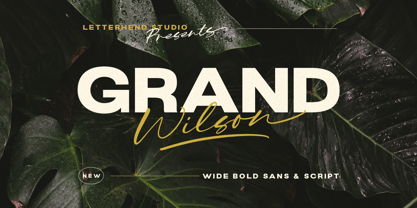 Grand Wilson Font Poster 1