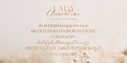 Lady Clementine Font Poster 9
