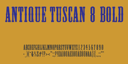 Antique Tuscan 8 Fuente Póster 2