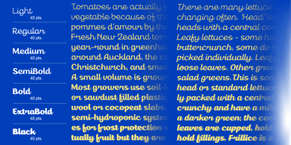 Gestura Font Poster 2