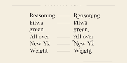 Molagane Font Poster 14