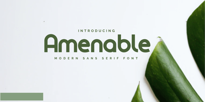 Amenable Font Poster 1