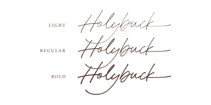 Holybuck Font Poster 4