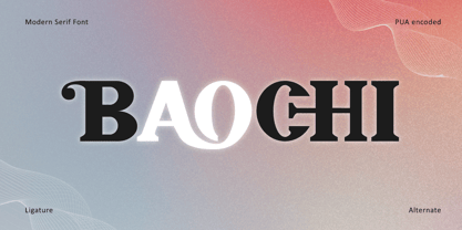 Baochi Font Poster 1