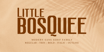 Little Bosquee Font Poster 1
