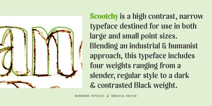 Scootchy Font Poster 2