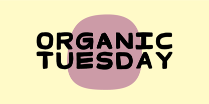 Organic Tuesday Font Poster 1