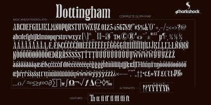Dottingham Font Poster 5