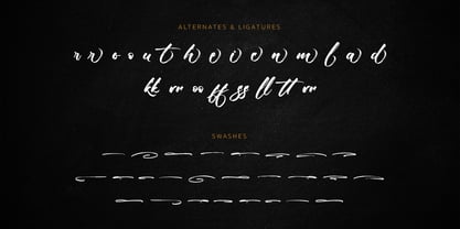 The Brushentica Font Poster 11