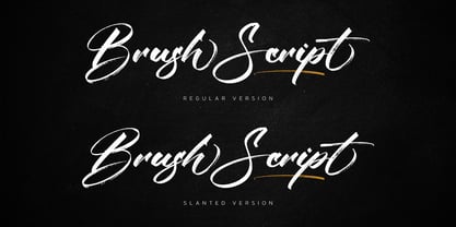 The Brushentica Font Poster 9
