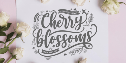 Cherry Blossoms Script Font Poster 1