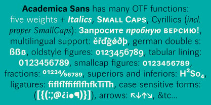 Academica Sans Font Poster 2