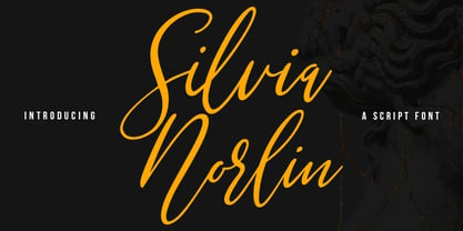 Silvia Norlin Font Poster 1